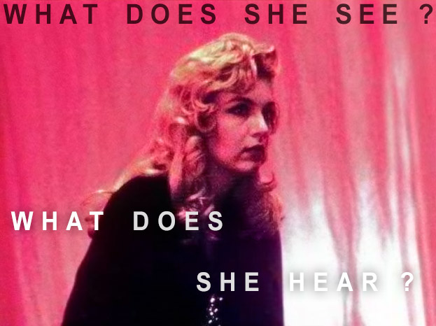 Photo of Laura Palmer with the question 'what does she see?' at the top.